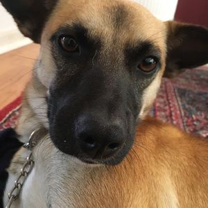 Meet your Posher, Jack